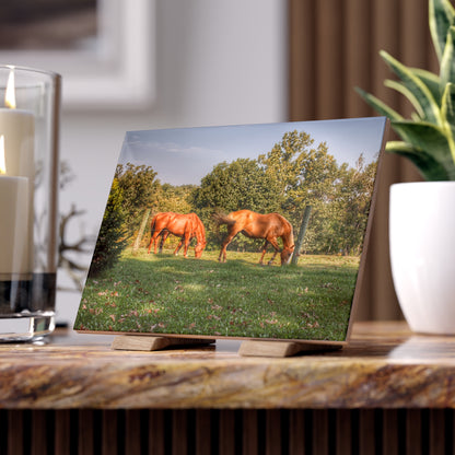 U R There Photography Caramel Horses Rustic Farmhouse Decorative Ceramic Tile
