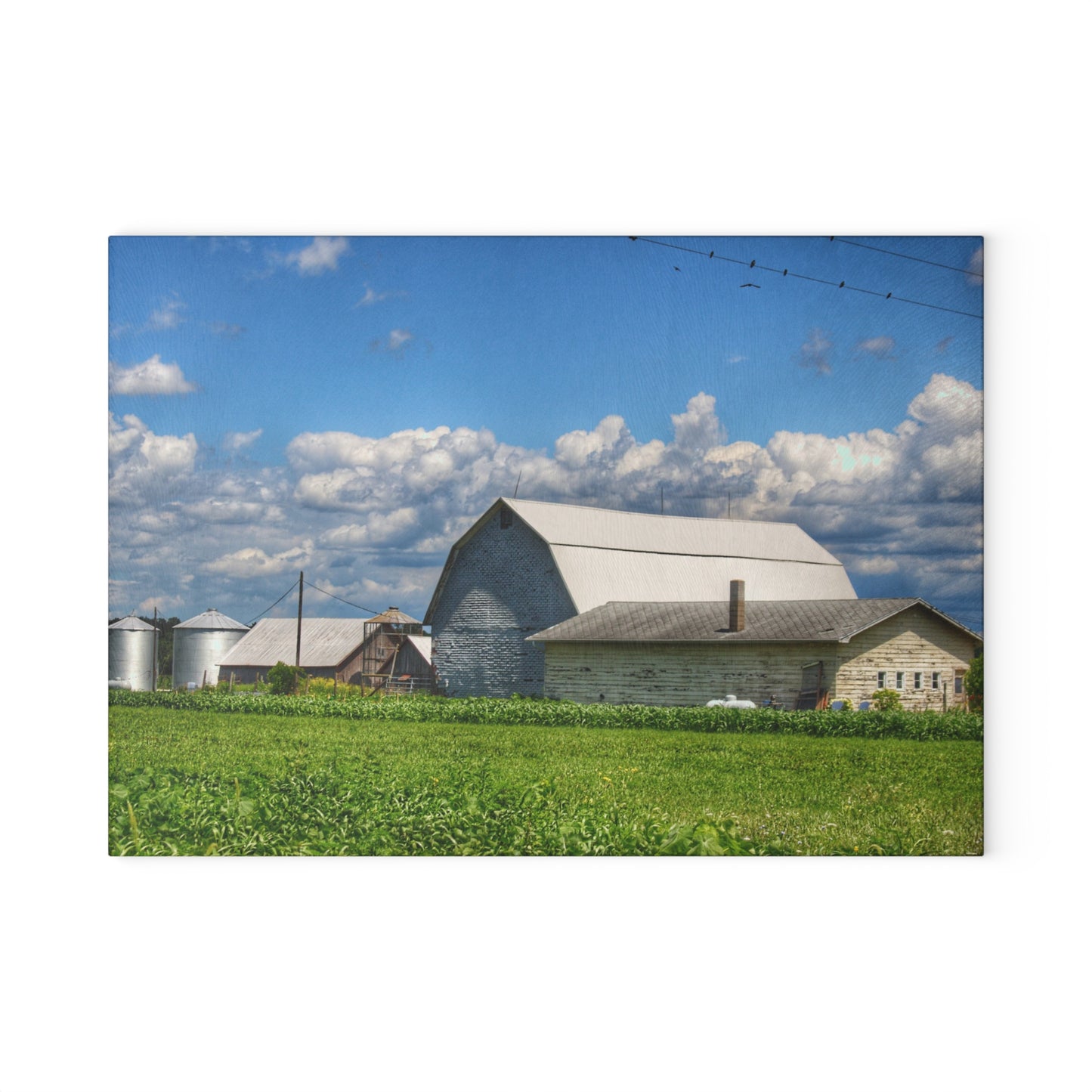 U R There Photography Lake Road Whites Rustic Farmhouse Tempered-Glass Cutting Board