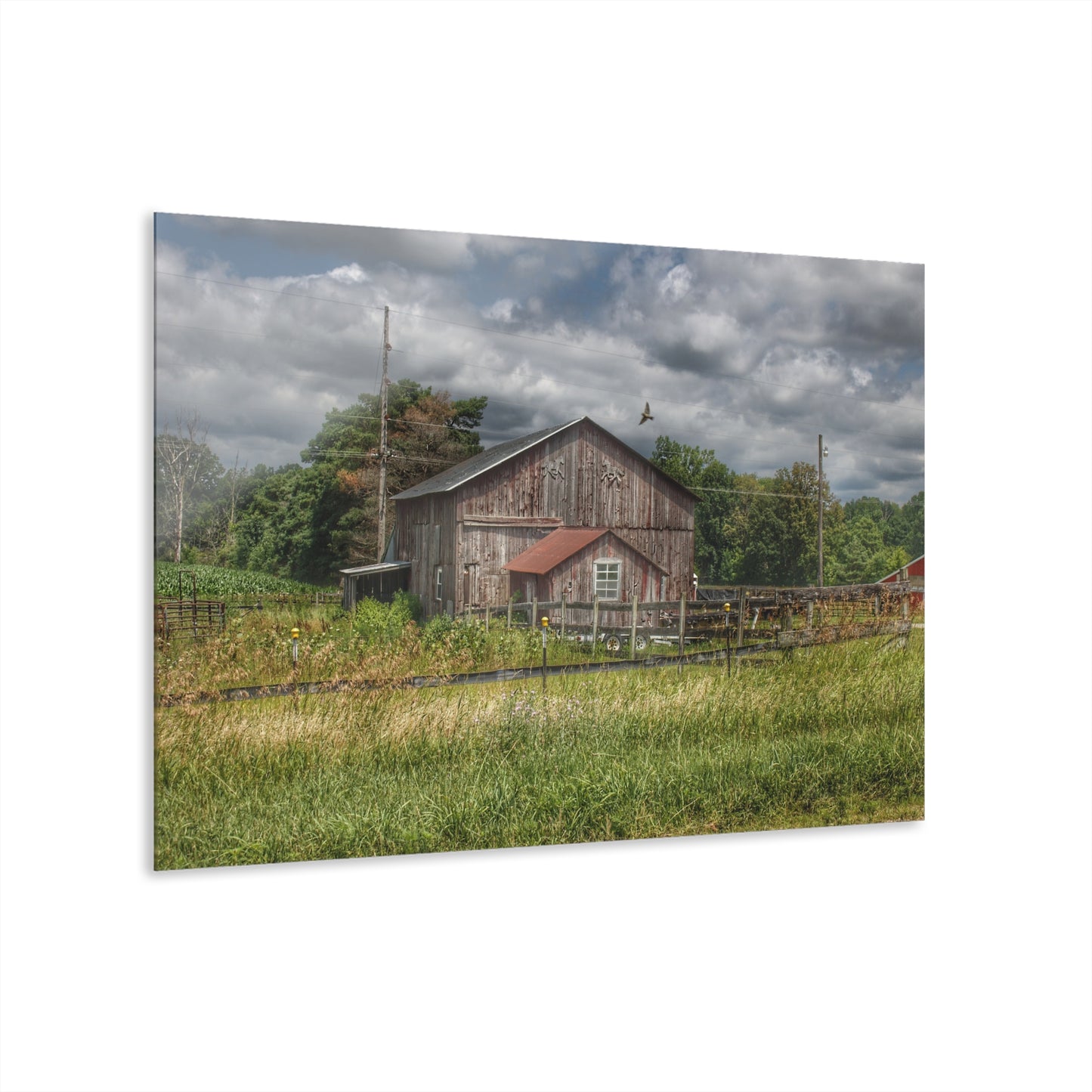 U R There Photography Millington Road Grey Horse Barn Rustic Farmhouse Acrylic Wall Print