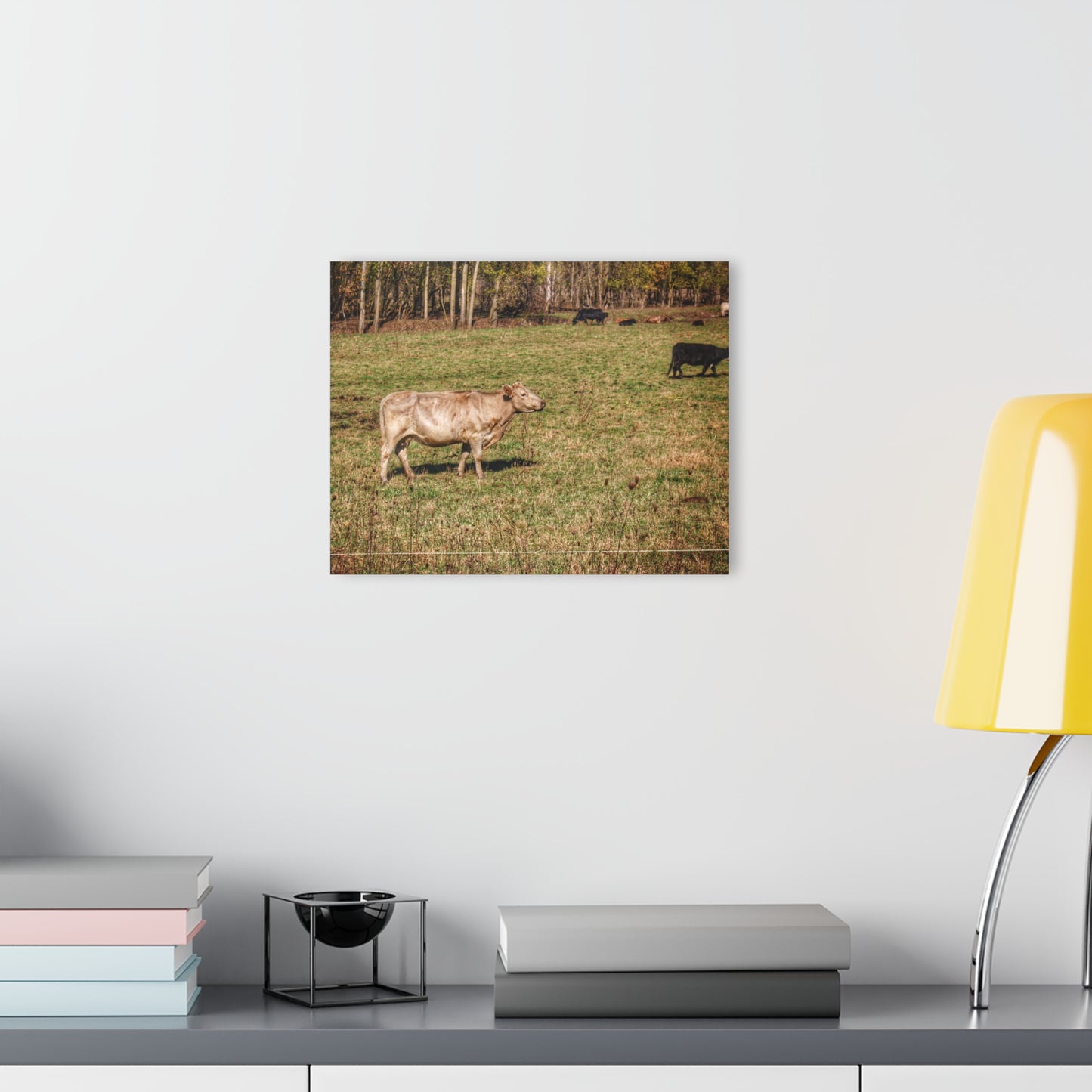 Barn Boutique Modern Farmhouse Acrylic Wall Print| Cass City Road Cows