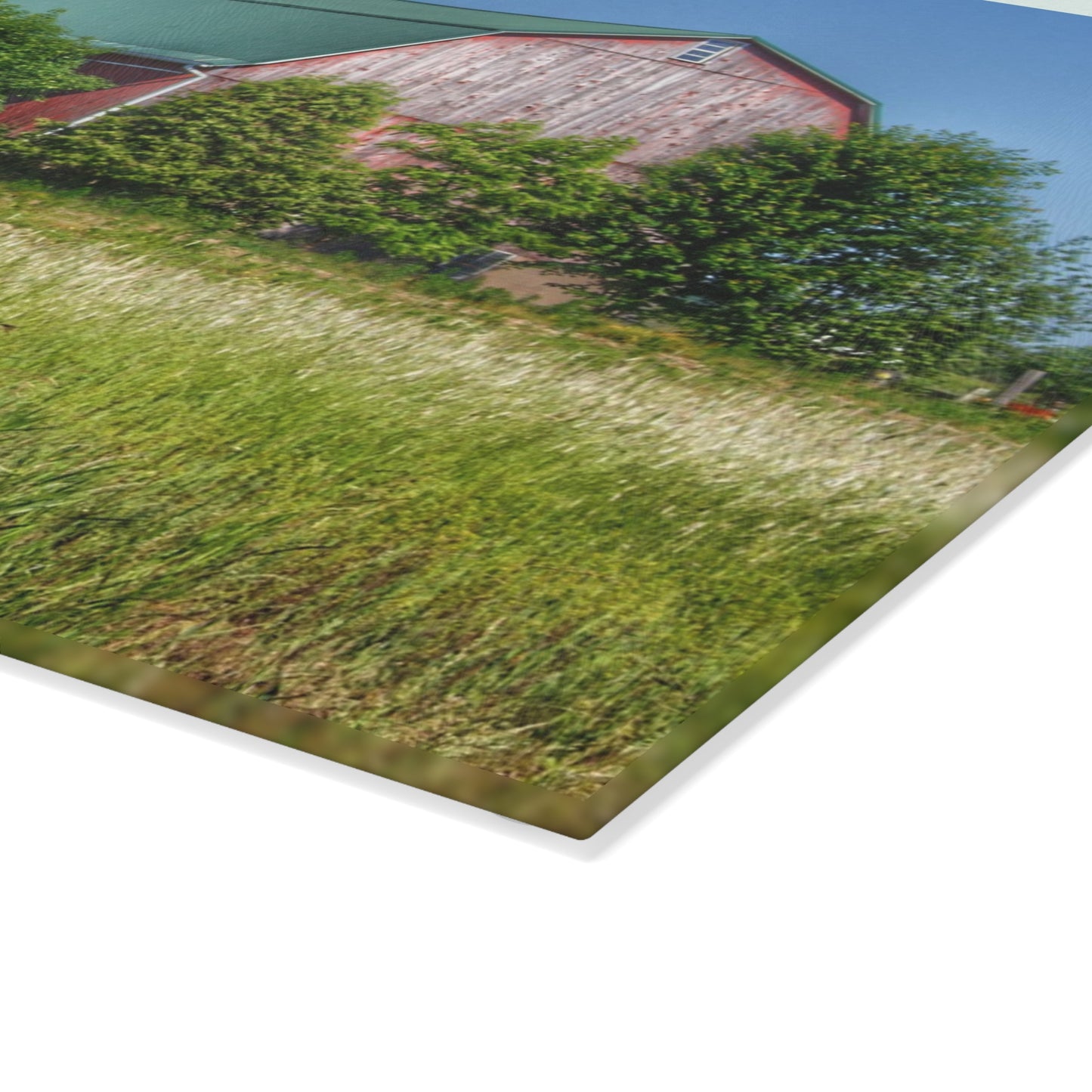 U R There Photography Elmwood Road Red IV Rustic Farmhouse Tempered-Glass Cutting Board