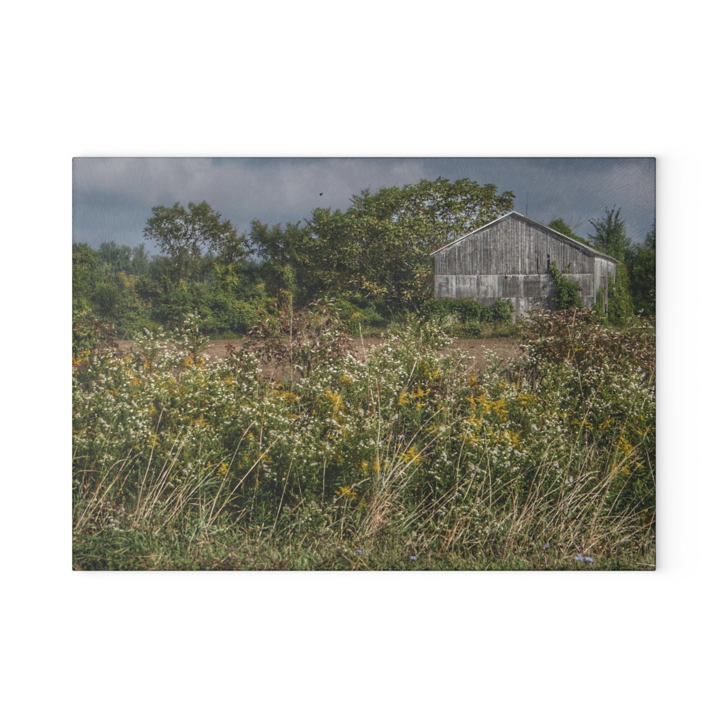 U R There Photography Almont Road Grey Rustic Farmhouse Tempered-Glass Cutting Board