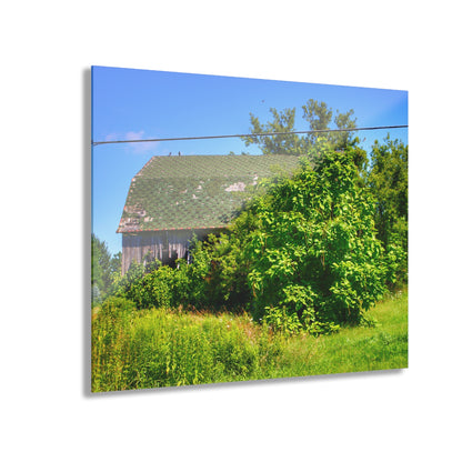 U R There Photography Hidden Grey of Hunters Creek Rustic Farmhouse Acrylic Wall Print