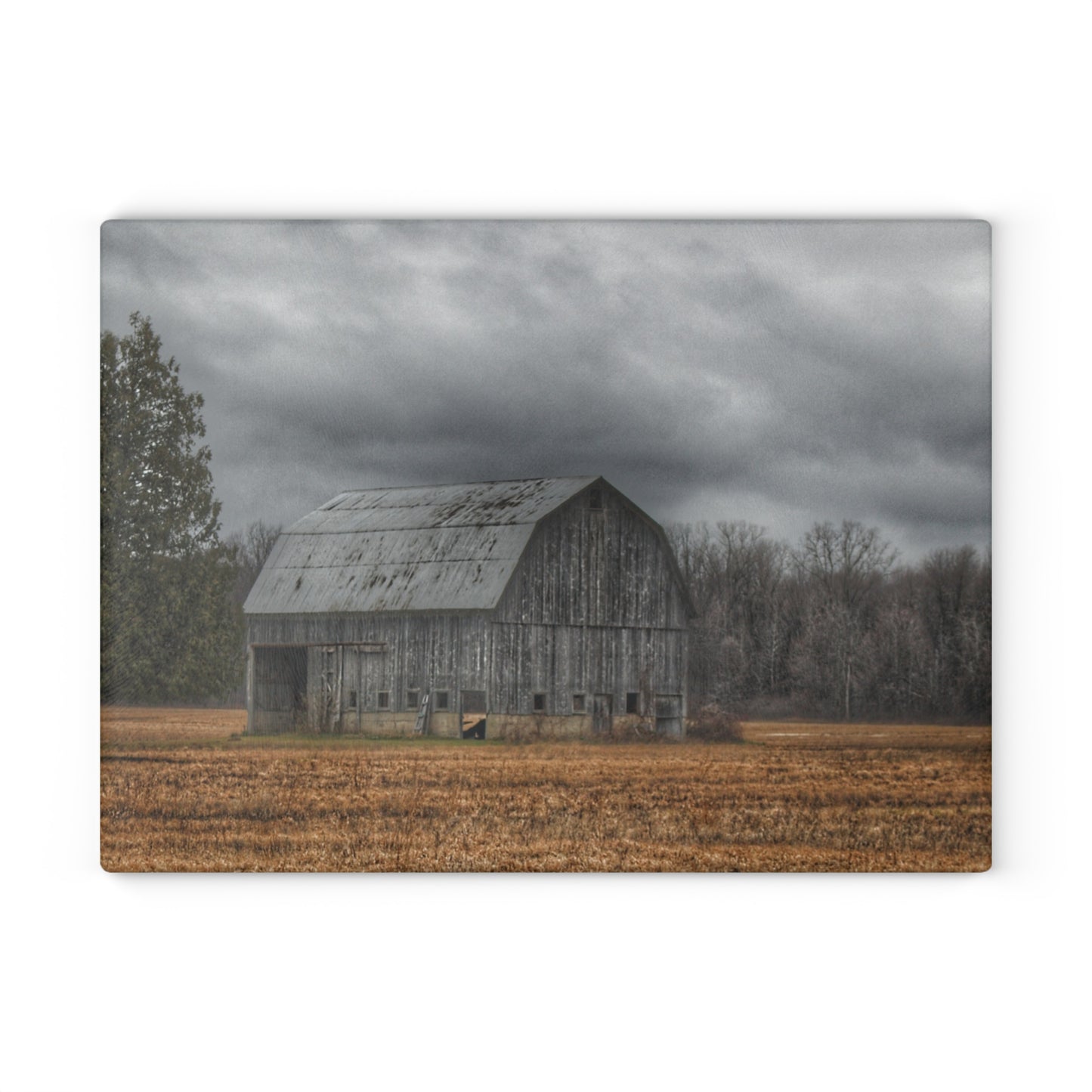 U R There Photography Grey Barn and Tree Rustic Farmhouse Tempered-Glass Cutting Board