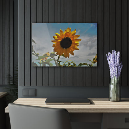U R There Photography Awakening Sunflower Rustic Farmhouse Acrylic Wall Print