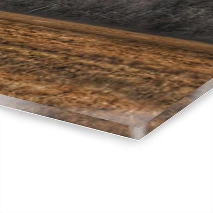 U R There Photography Grey Barn and Tree Rustic Farmhouse Acrylic Wall Print