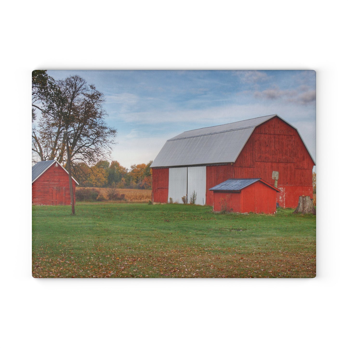 U R There Photography Ruth Reds Rustic Farmhouse Tempered-Glass Cutting Board