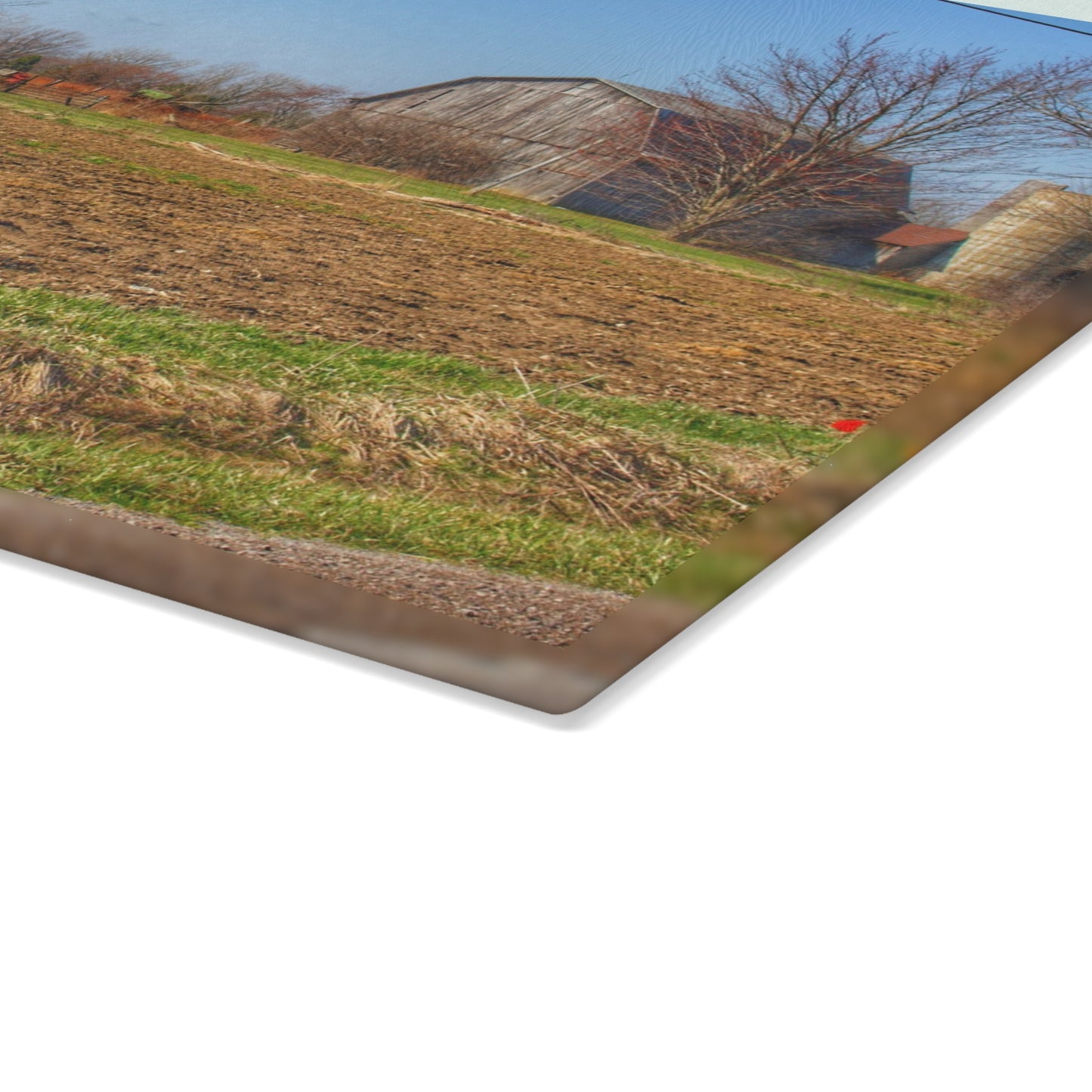 U R There Photography Stanley Road Greys Rustic Farmhouse Tempered-Glass Cutting Board