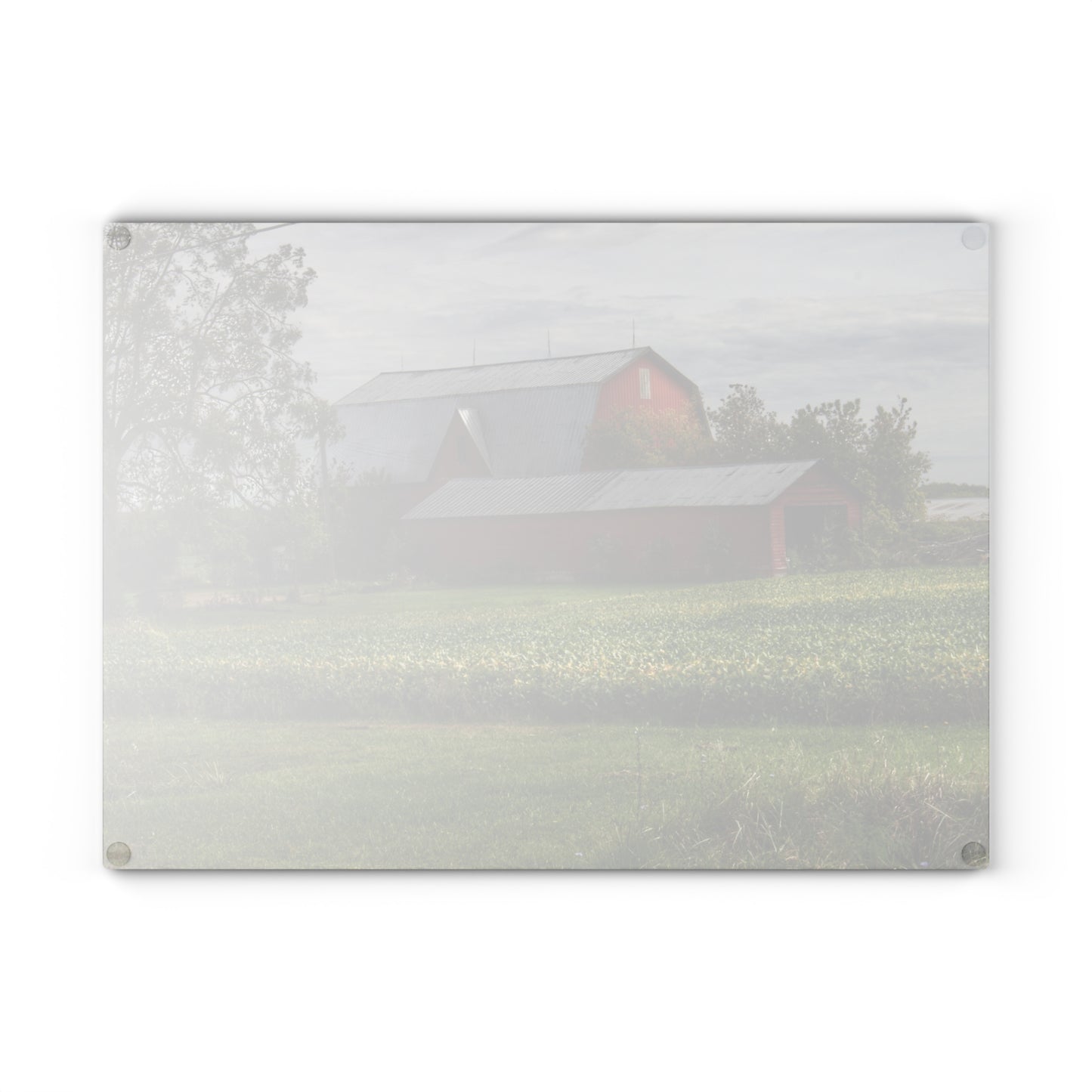 U R There Photography West Dodge Road Reds Rustic Farmhouse Tempered-Glass Cutting Board