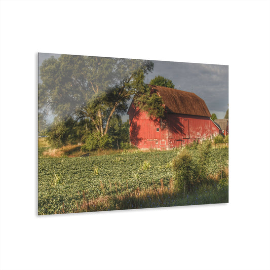 U R There Photography Genesee Road Red II Rustic Farmhouse Acrylic Wall Print