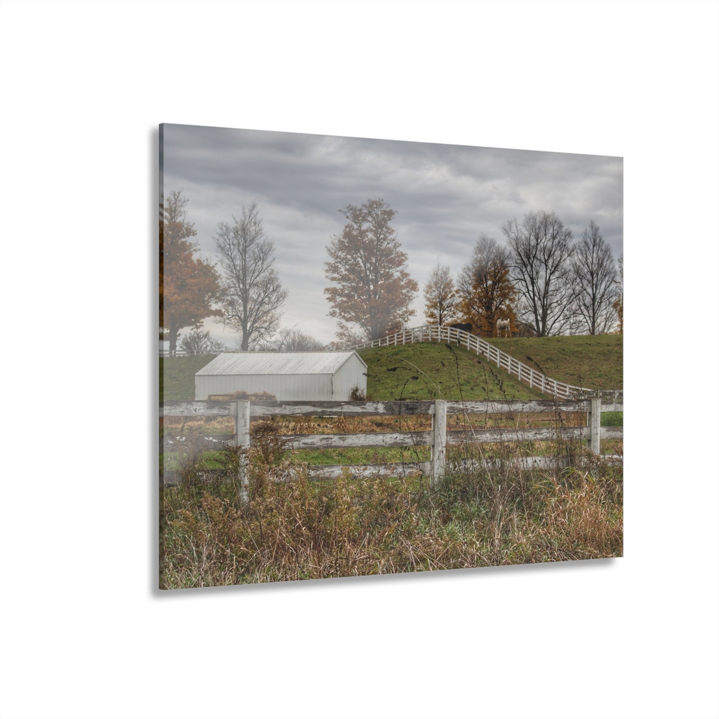 U R There Photography Millville Road Horses on the Hill Rustic Farmhouse Acrylic Wall Print
