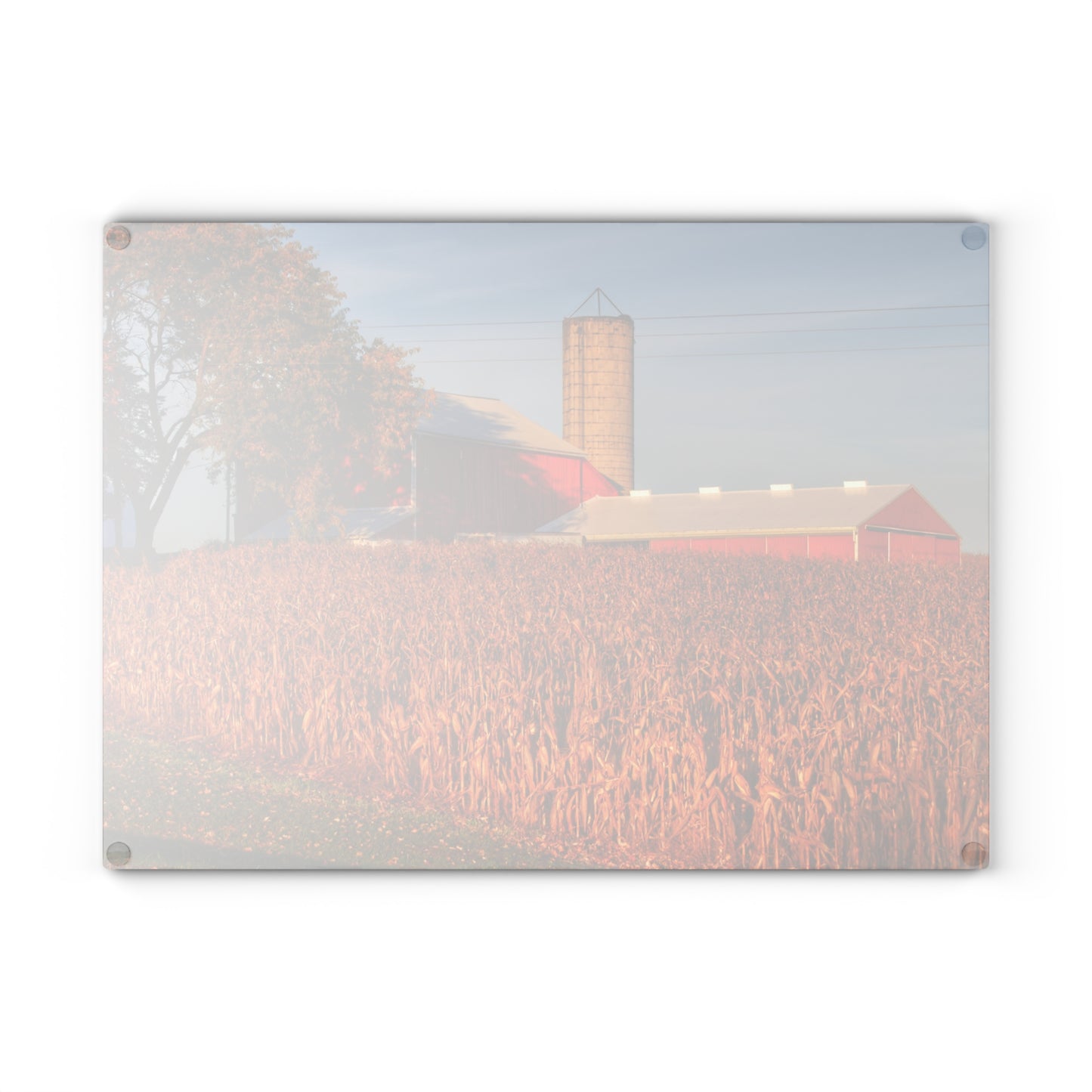 U R There Photography Lake Pleasant Reds I Rustic Farmhouse Tempered-Glass Cutting Board