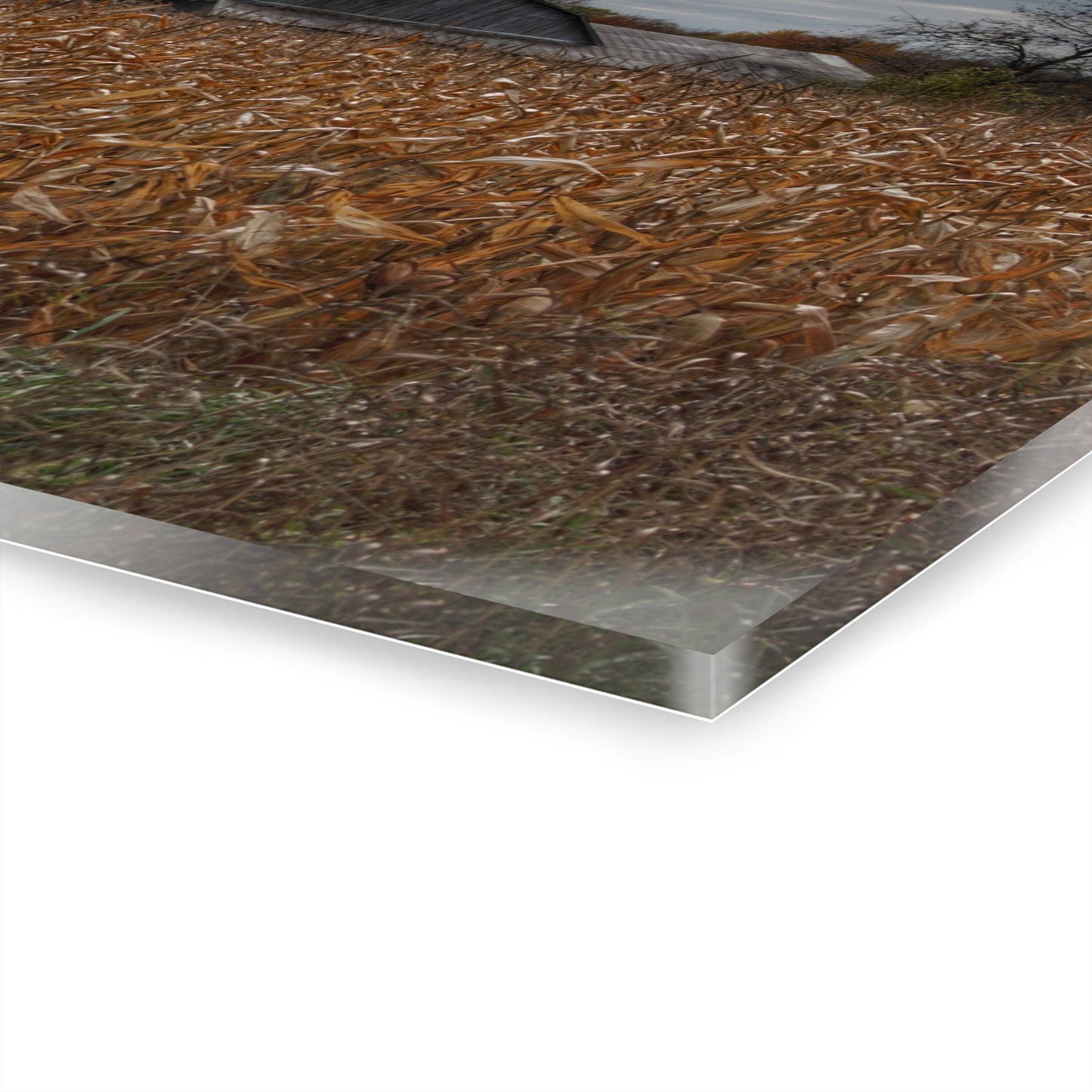 U R There Photography North State Road Grey Rustic Farmhouse Acrylic Wall Print