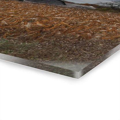 U R There Photography North State Road Grey Rustic Farmhouse Acrylic Wall Print