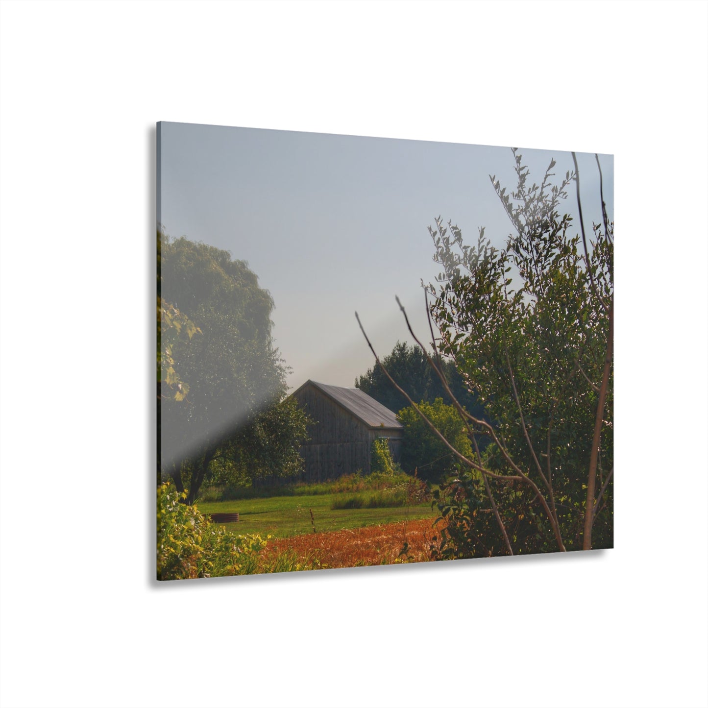 U R There Photography Clifford Hidden Grey Rustic Farmhouse Acrylic Wall Print