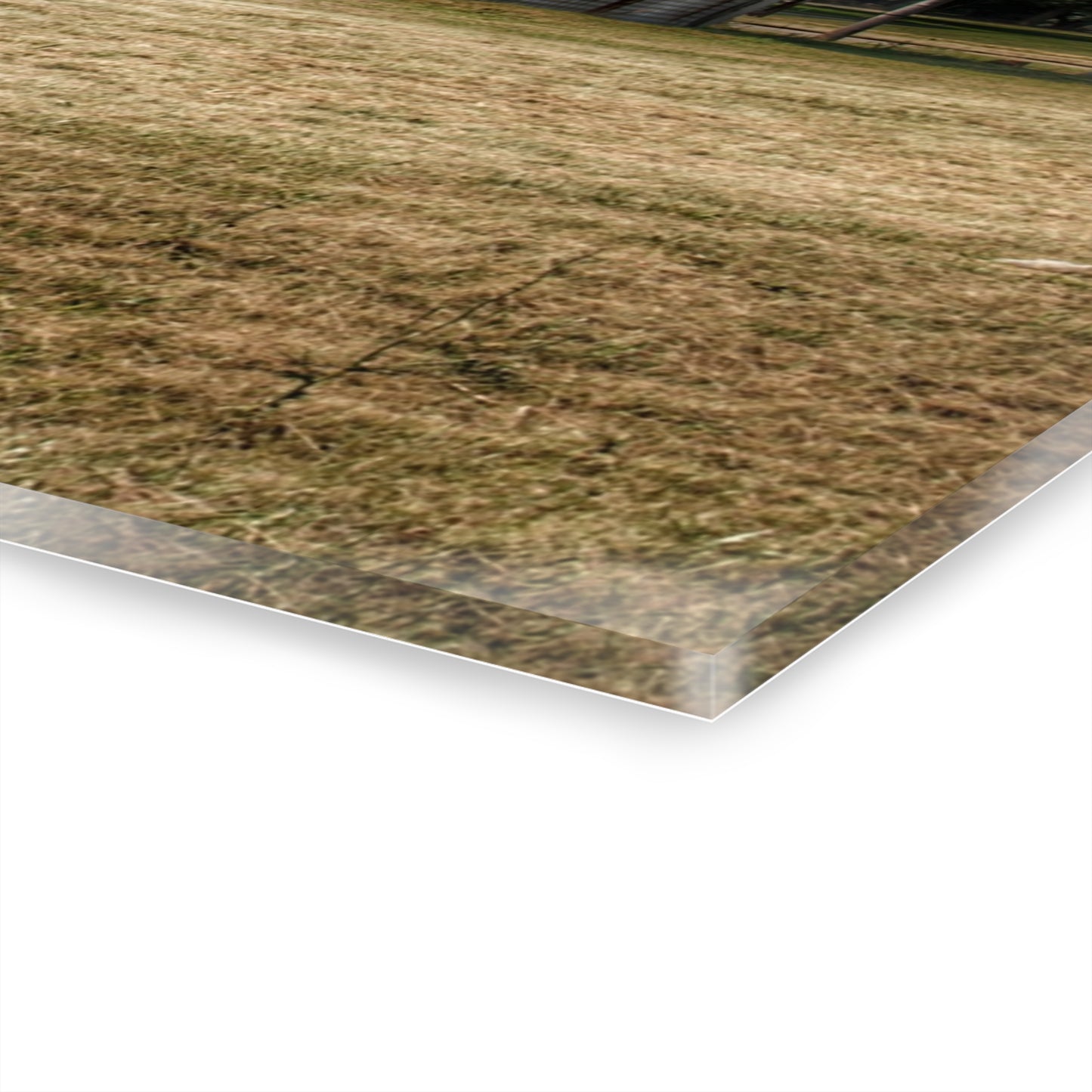 U R There Photography Hough Road Green Quonset II Rustic Farmhouse Acrylic Wall Print