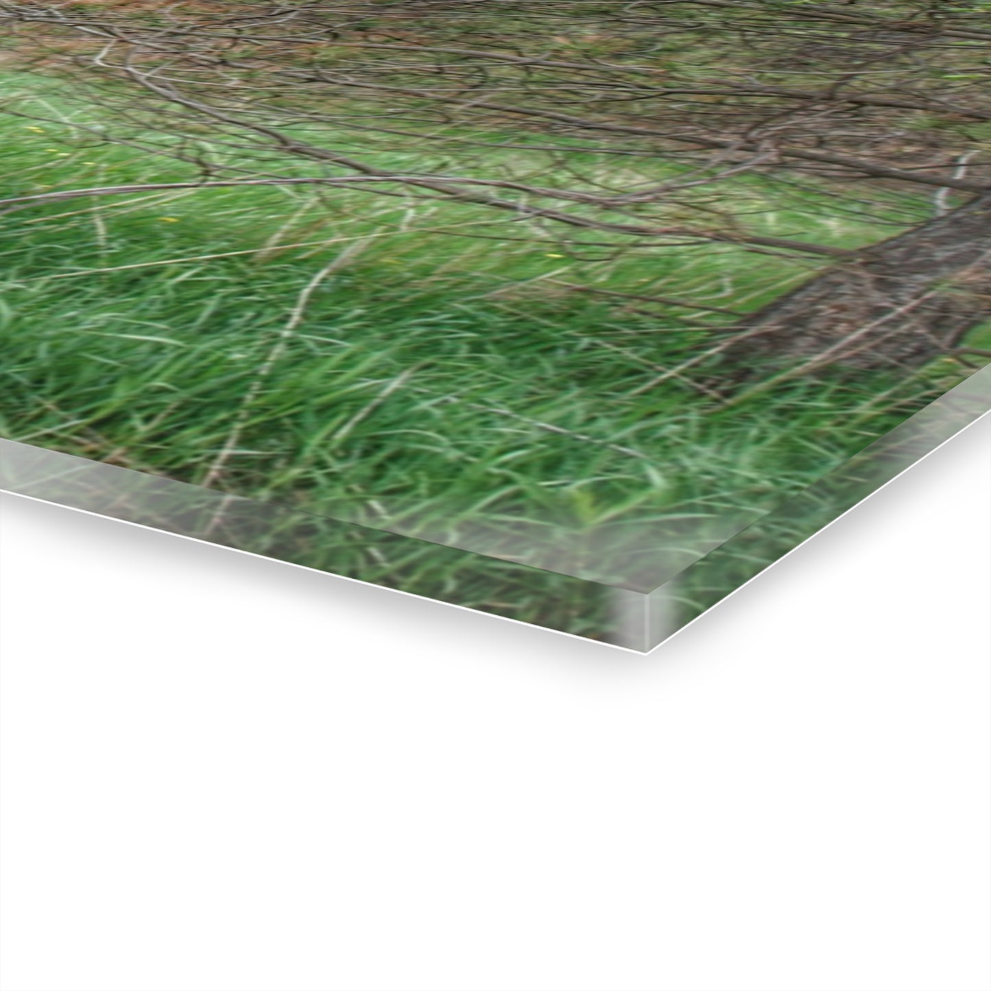 U R There Photography Hickory Ridge Red II Rustic Farmhouse Acrylic Wall Print