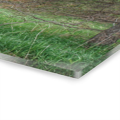 U R There Photography Hickory Ridge Red II Rustic Farmhouse Acrylic Wall Print