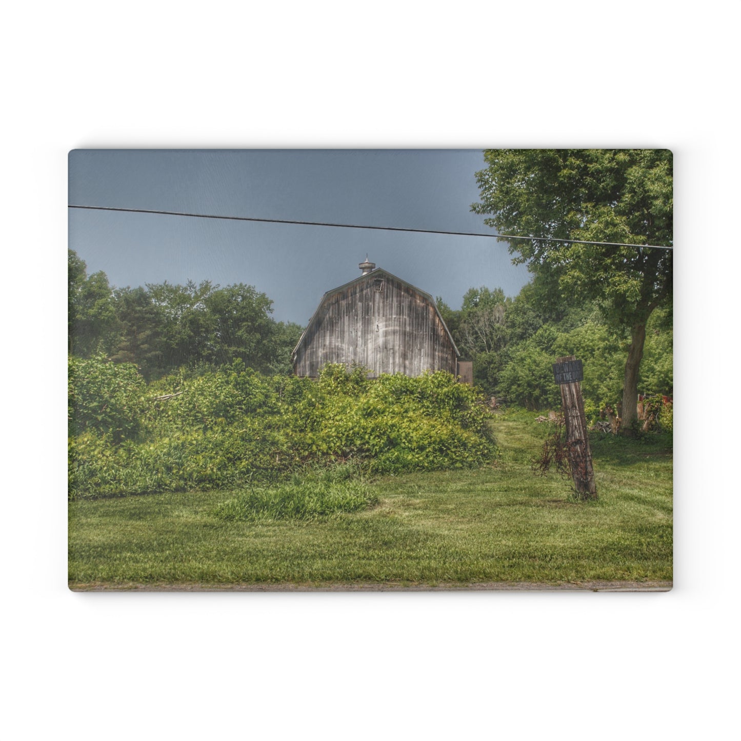 U R There Photography Vassar Road Hidden Grey I Rustic Farmhouse Tempered-Glass Cutting Board