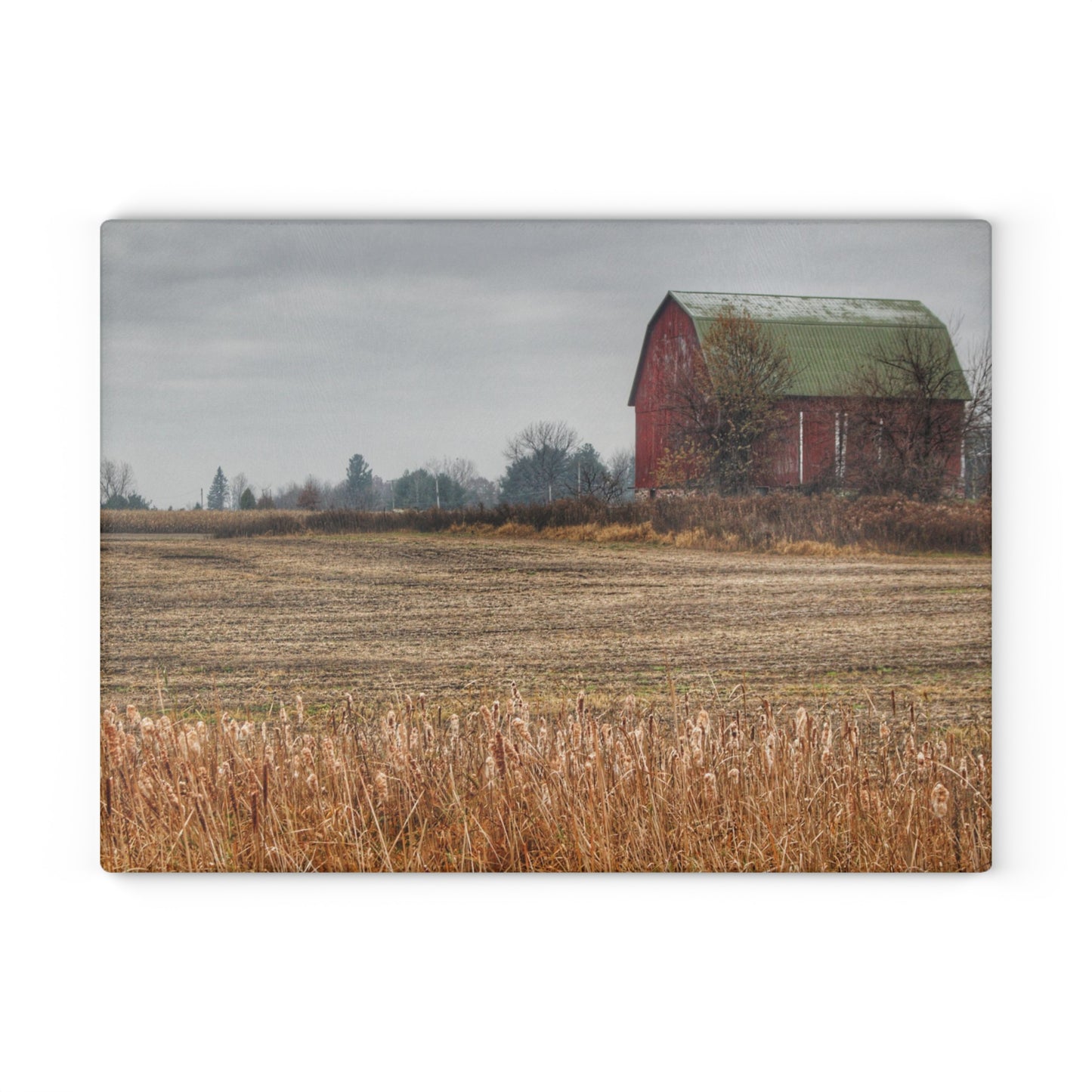 U R There Photography Bowers Road Red IV Rustic Farmhouse Tempered-Glass Cutting Board