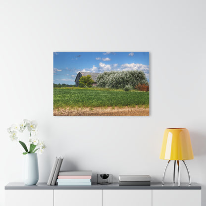 U R There Photography Lake Road Grey Rustic Farmhouse Acrylic Wall Print