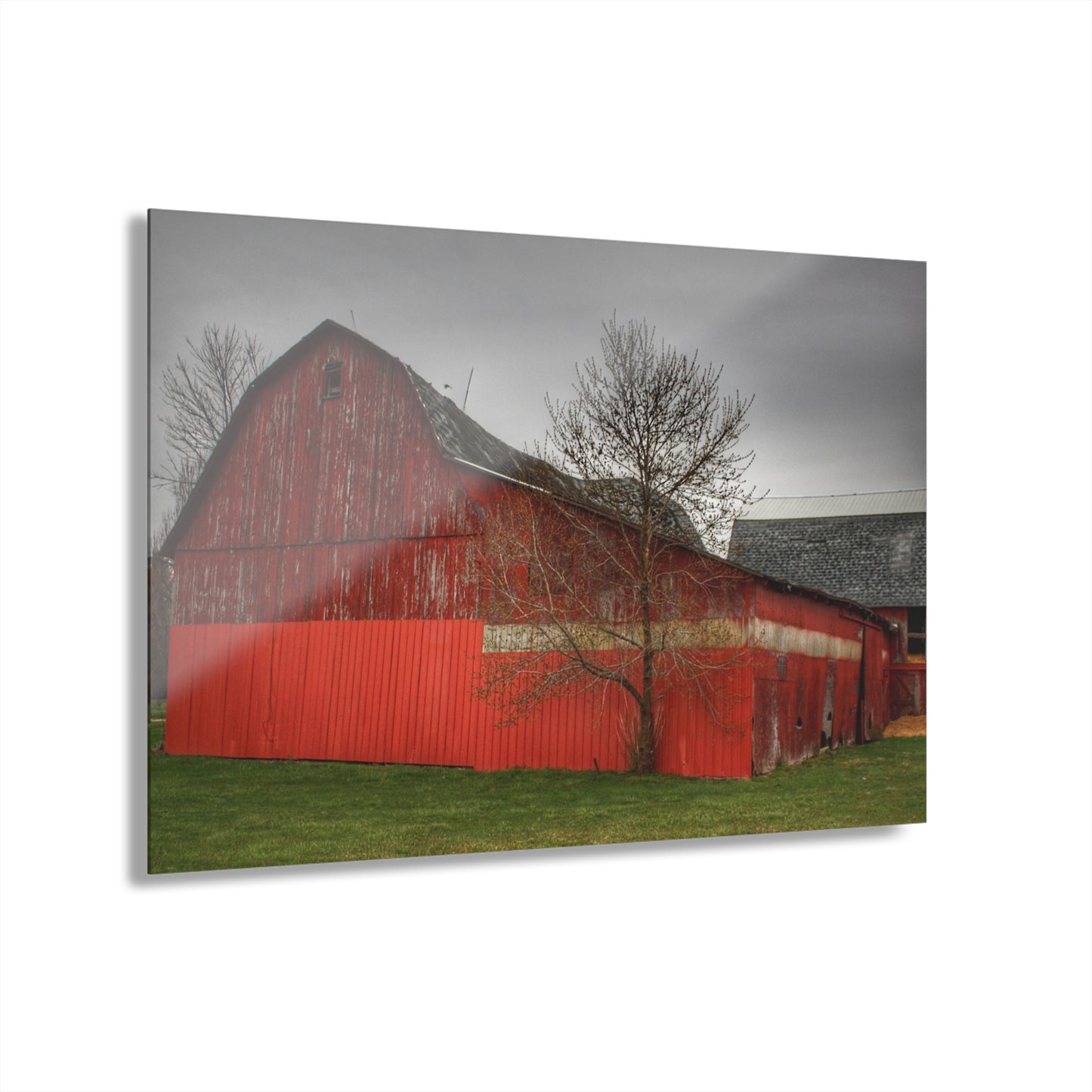 U R There Photography Almont Reds Rustic Farmhouse Acrylic Wall Print