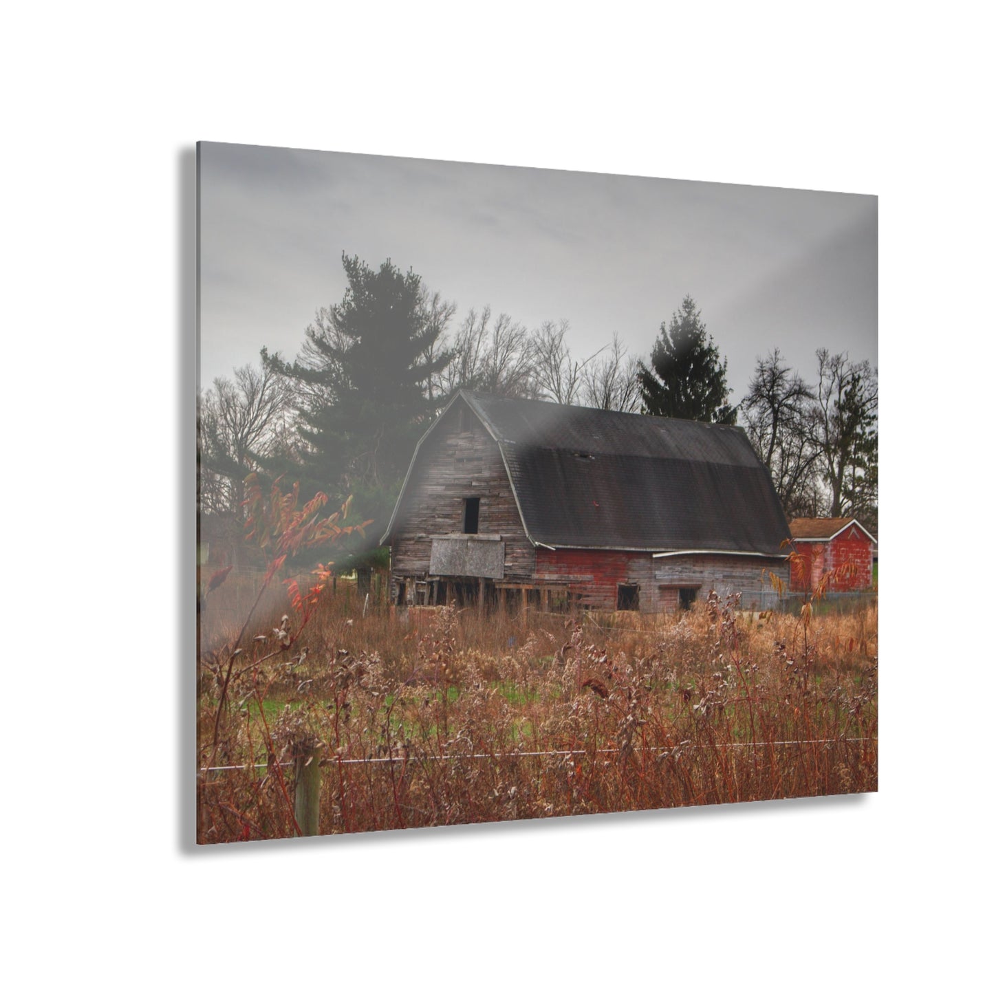 U R There Photography Field Grey and Little Red Rustic Farmhouse Acrylic Wall Print