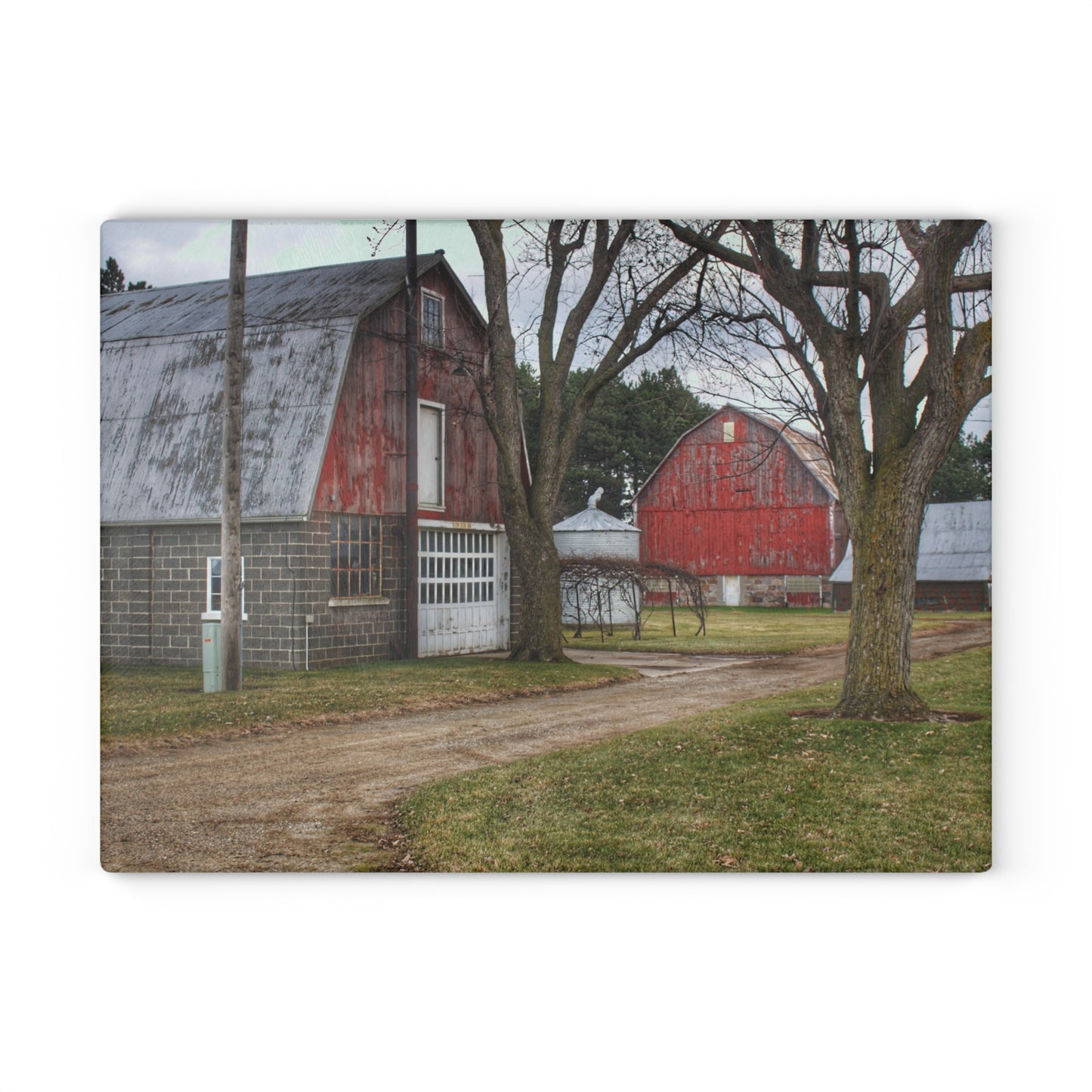 U R There Photography Peck Reds Rustic Farmhouse Tempered-Glass Cutting Board 8"x 11"