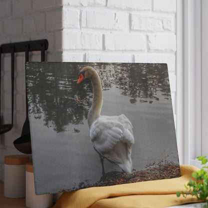 U R There Photography Swans of Duck Lake III Rustic Farmhouse Tempered-Glass Cutting Board