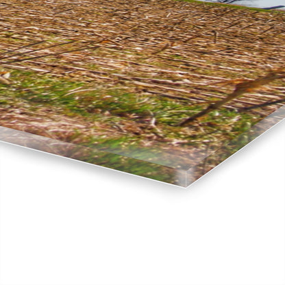 U R There Photography Lee Hill Road Block Red Rustic Farmhouse Acrylic Wall Print