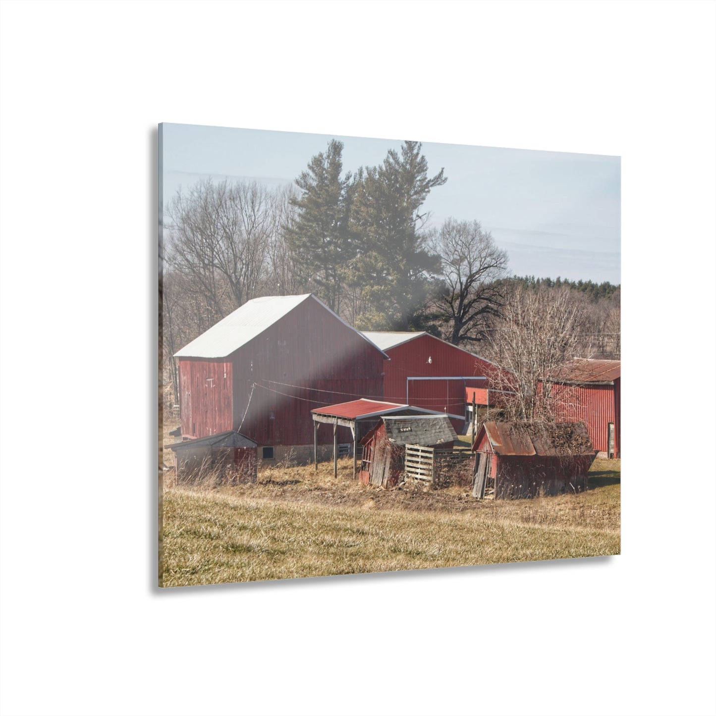 U R There Photography Bronson Lake Reds Rustic Farmhouse Acrylic Wall Print