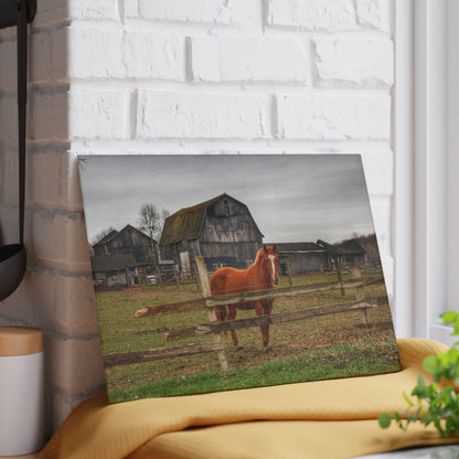 U R There Photography South Summers Road Old Grey and Caramel IV Rustic Farmhouse Tempered-Glass Cutting Board