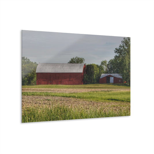 U R There Photography Catlin Road Reds Rustic Farmhouse Acrylic Wall Print