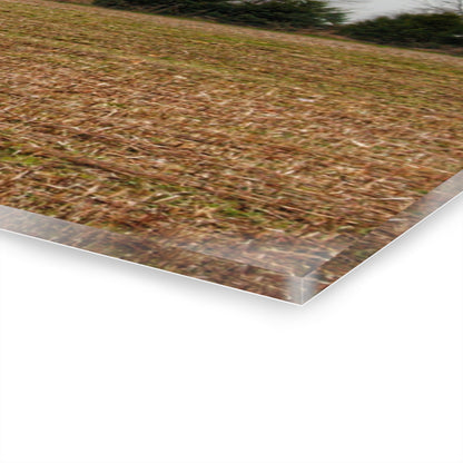 U R There Photography Kidder Road Reds Rustic Farmhouse Acrylic Wall Print