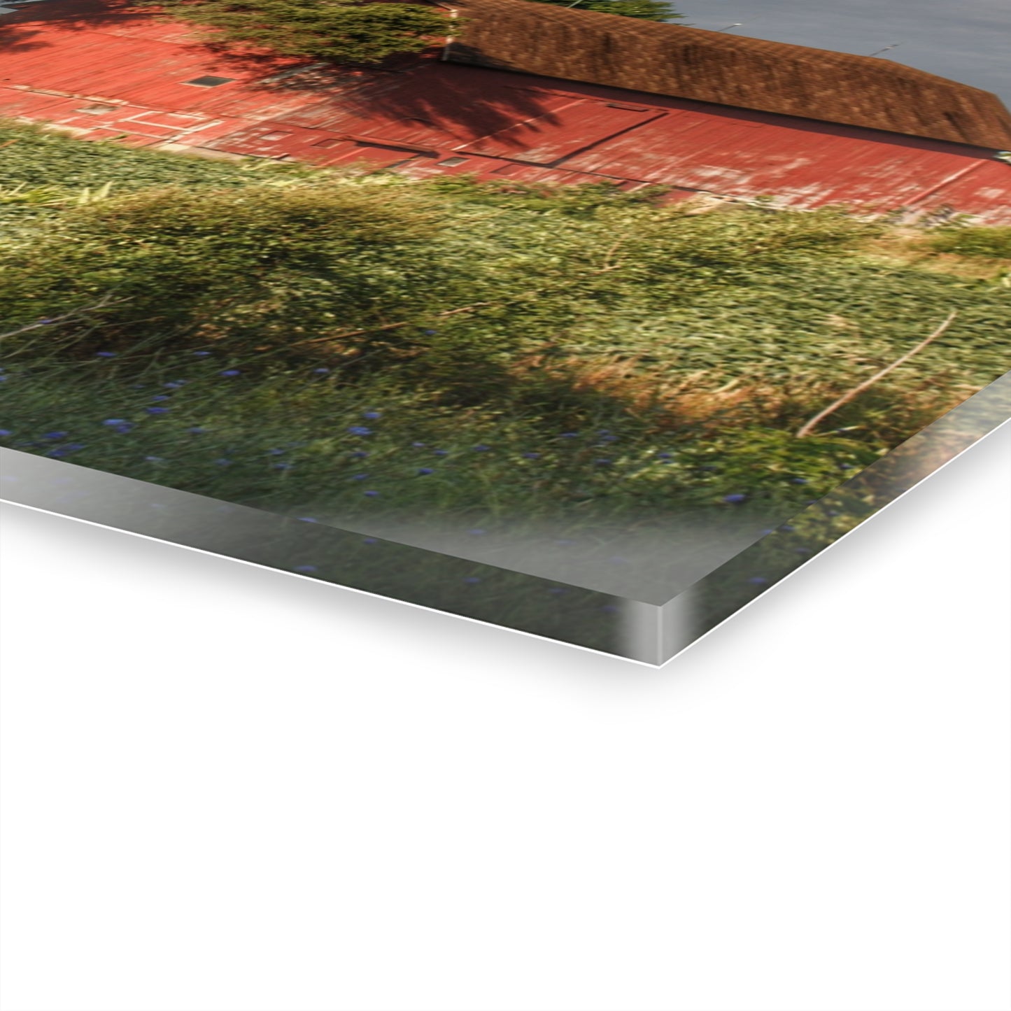 U R There Photography Genesee Road Red II Rustic Farmhouse Acrylic Wall Print