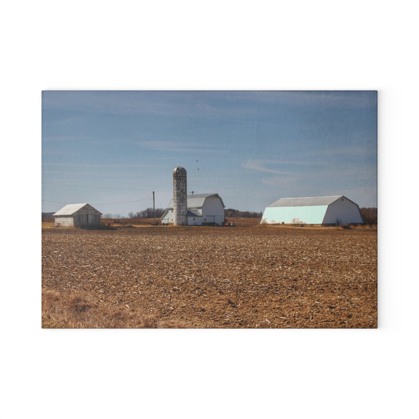 U R There Photography Colling Whites Rustic Farmhouse Tempered-Glass Cutting Board