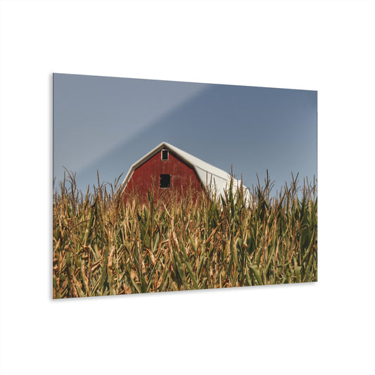 Beyond the Corn Rustic Farmhouse Acrylic Wall Print