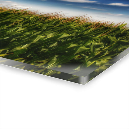 U R There Photography Sky-High Corn Rustic Farmhouse Acrylic Wall Print