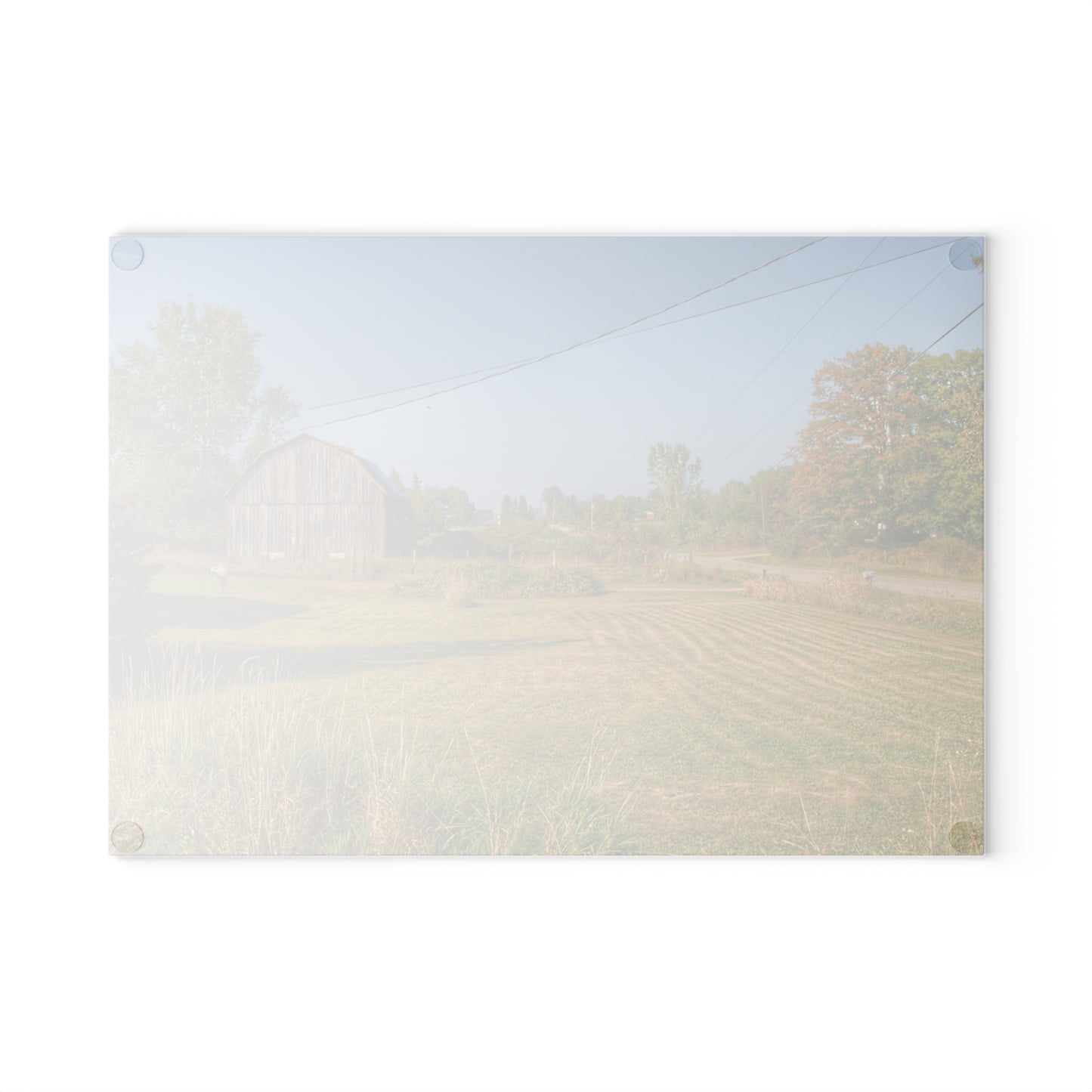 U R There Photography Snover Grey II Rustic Farmhouse Tempered-Glass Cutting Board