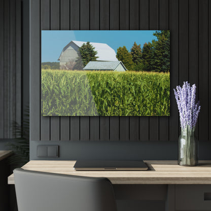 U R There Photography White Cornfield Barn Rustic Farmhouse Acrylic Wall Print