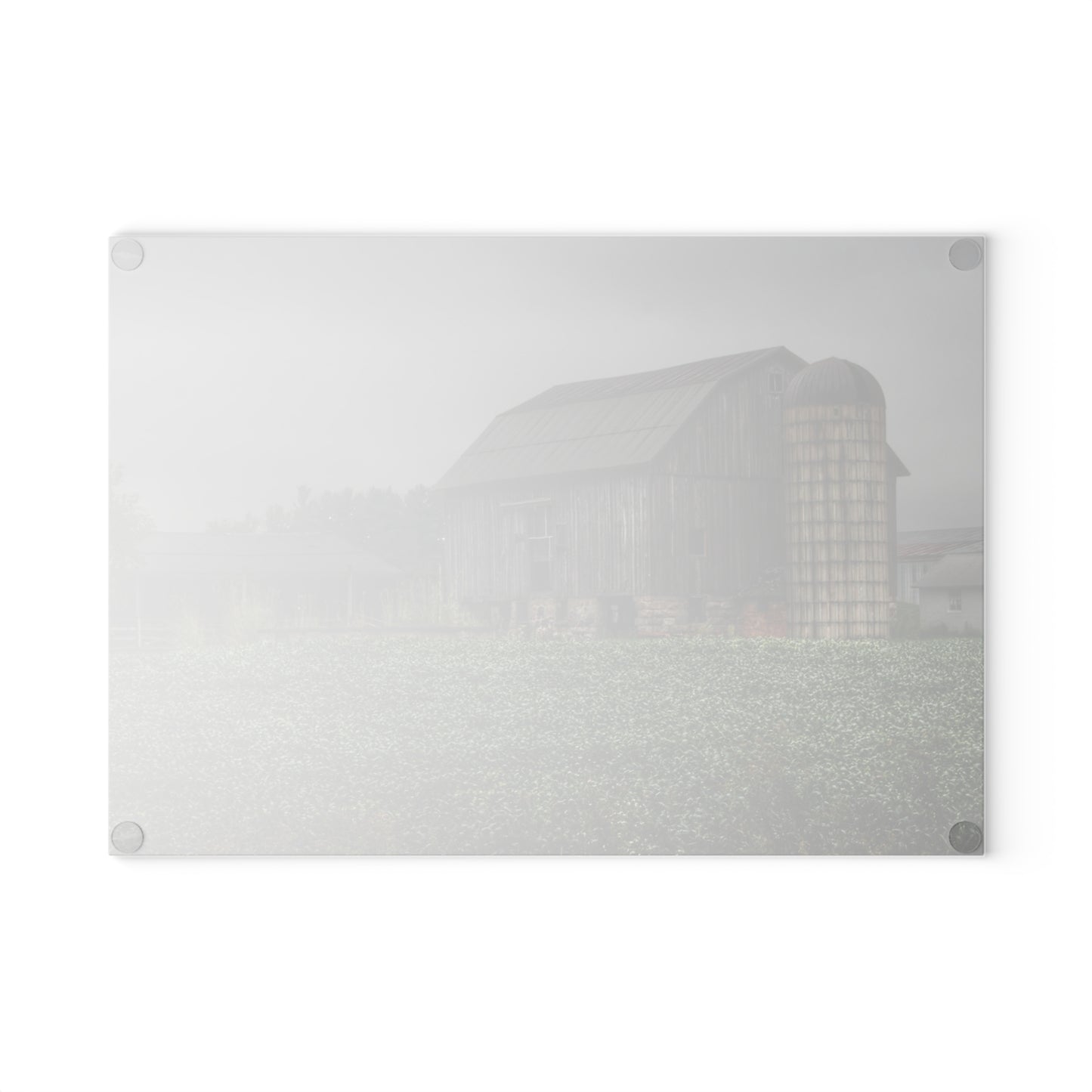 U R There Photography East Millington Road Grey and Stable Rustic Farmhouse Tempered-Glass Cutting Board