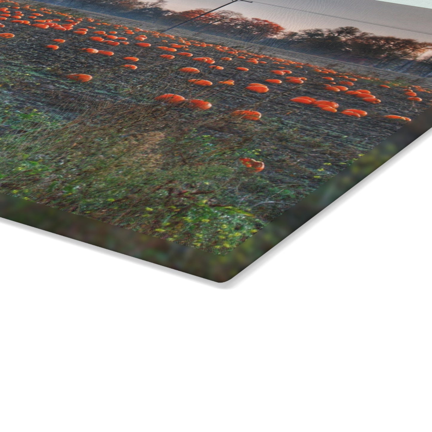 U R There Photography Five Lakes Pumpkins Rustic Farmhouse Tempered-Glass Cutting Board