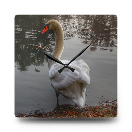 Swans of Duck Lake III Rustic Farmhouse Acrylic Analog Wall Clock 10.75'' × 10.75'' (Square)