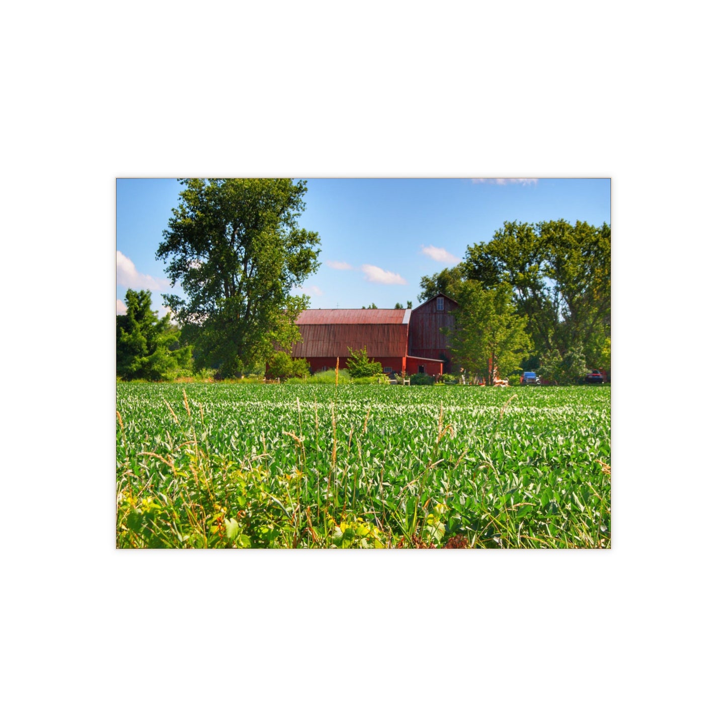 U R There Photography Canada Road Hidden Red Rustic Farmhouse Decorative Ceramic Tile