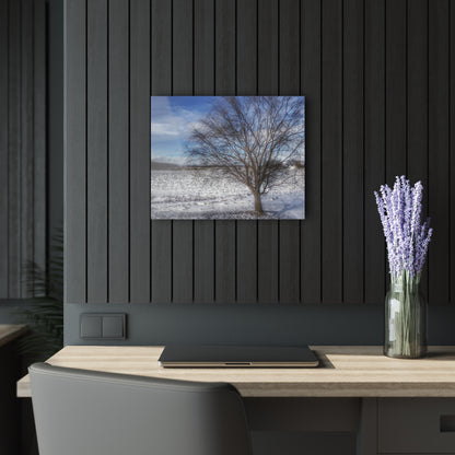 U R There Photography Winter Farm Willow Tree Rustic Farmhouse Acrylic Wall Print