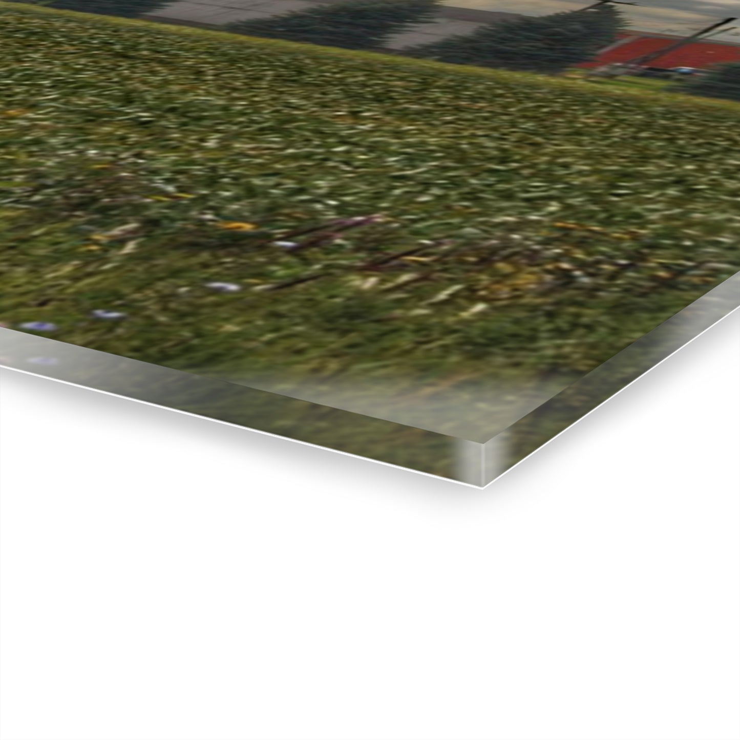 U R There Photography Early Fall on the Farm Rustic Farmhouse Acrylic Wall Print