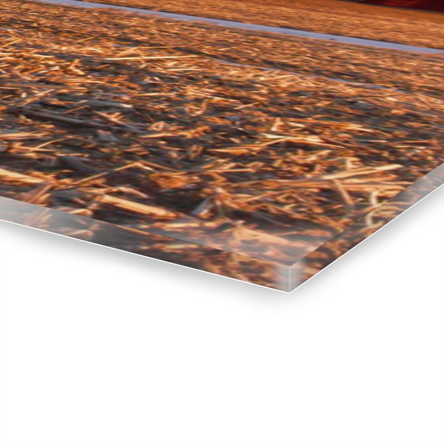 U R There Photography Early Spring on Catlin Road Rustic Farmhouse Acrylic Wall Print