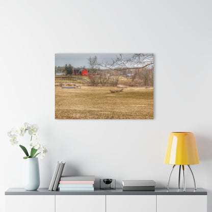 U R There Photography Beyond the Trees on Rock Valley Road Rustic Farmhouse Acrylic Wall Print