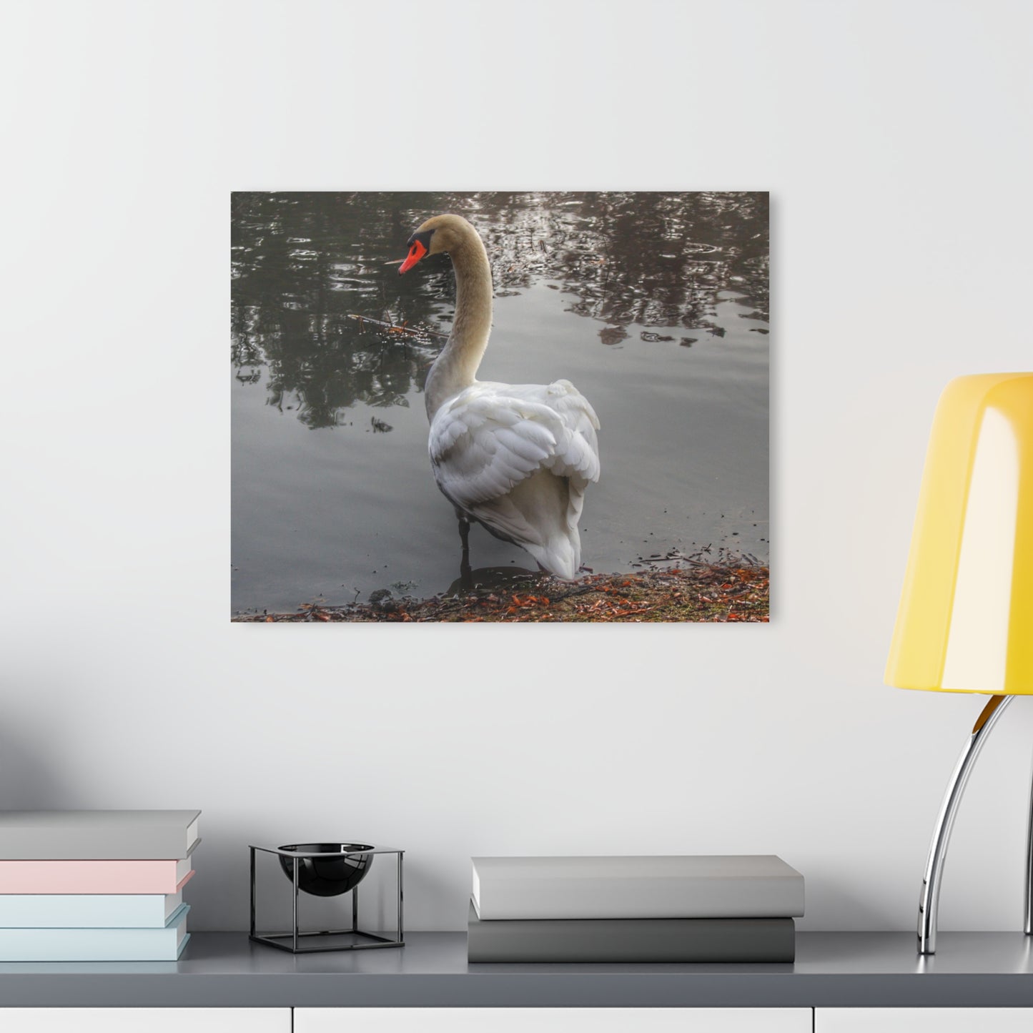 Barn Boutique Modern Farmhouse Acrylic Wall Print| Swans of Duck Lake III