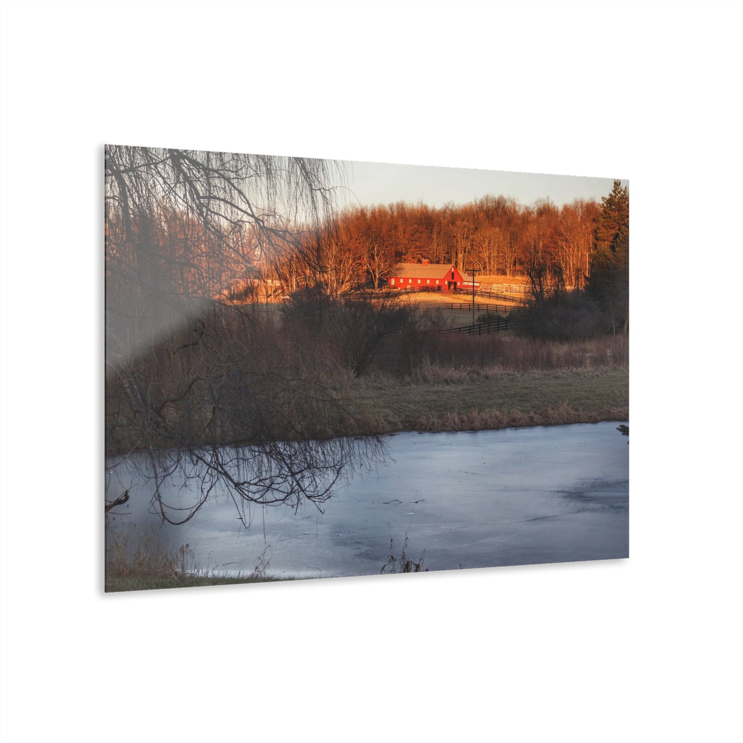 U R There Photography Hidden in Leonard Rustic Farmhouse Acrylic Wall Print